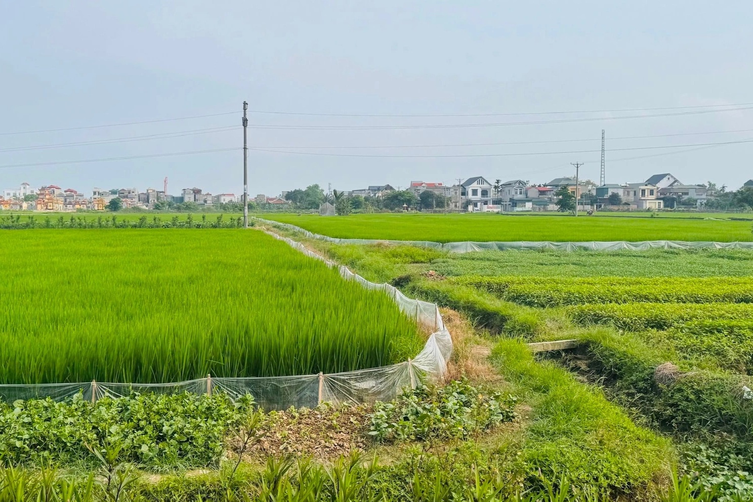 Hải Dương bàn giao 441 mốc giới tuyến đường sắt Lào Cai - Hải Phòng