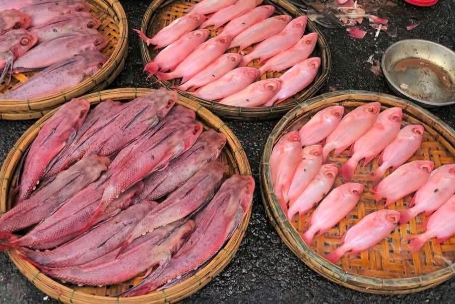 Tiểu thương nói gì về thông tin “cá có màu đỏ như phẩm nhuộm”?