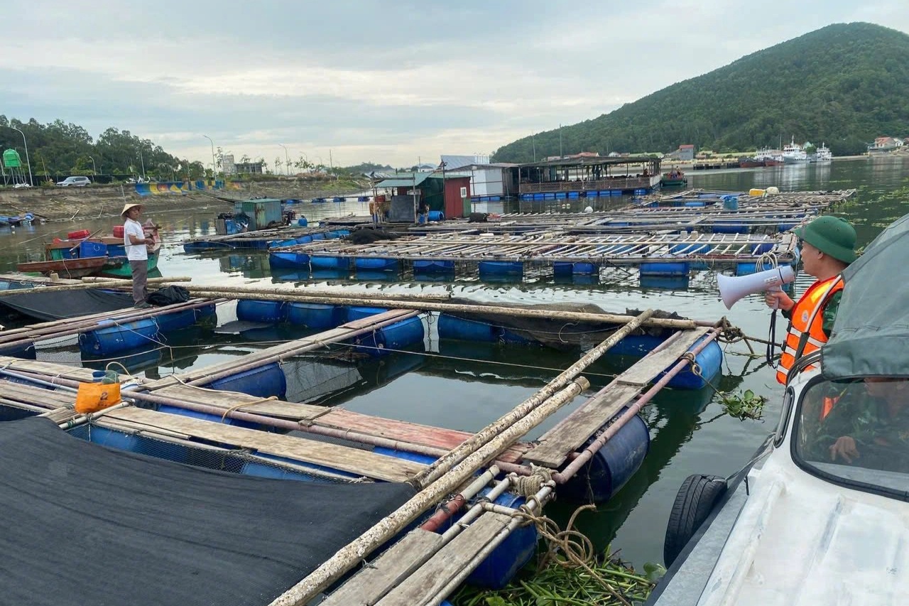 Bão số 3 chưa vào đất liền, Nghệ An đã có thiệt hại về người