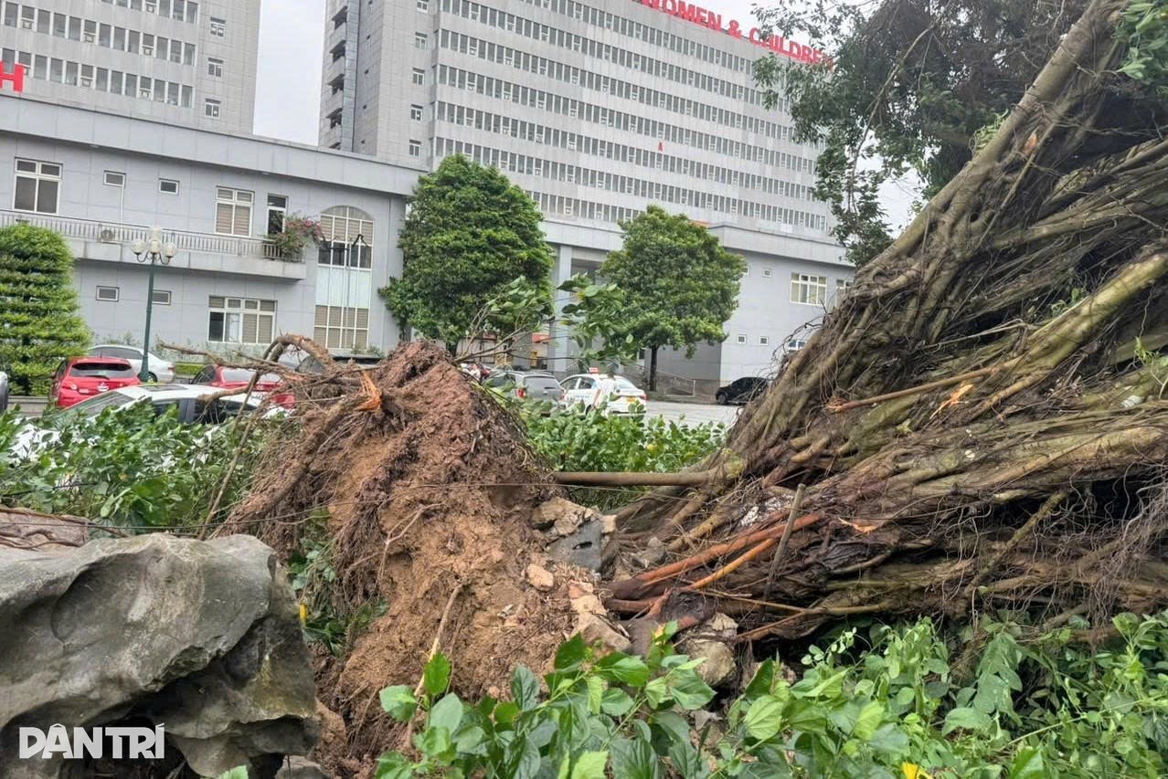 Bão Wipha đã vào đất liền Hưng Yên - Ninh Bình, cấp 8-9