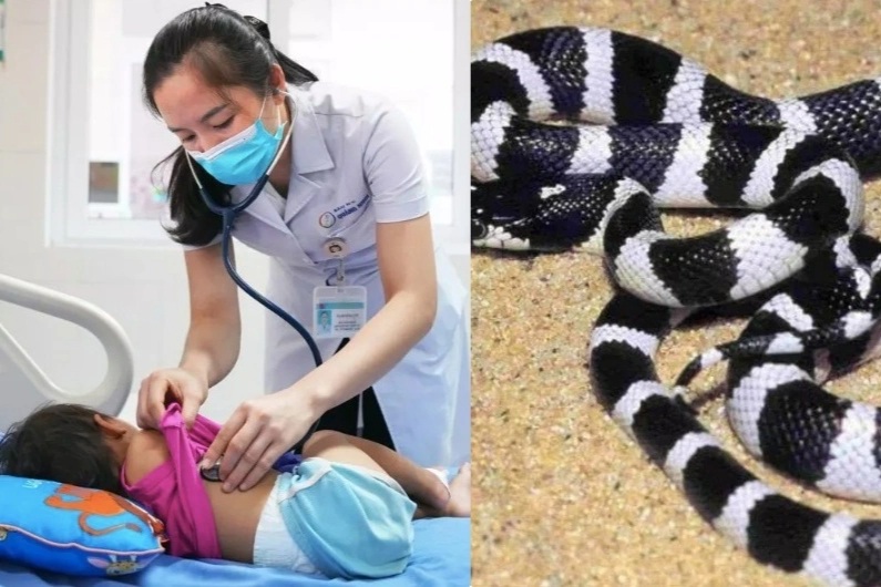 3 tiếng sau khi rắn bò ngang người, bé 21 tháng tuổi hôn mê, tím tái