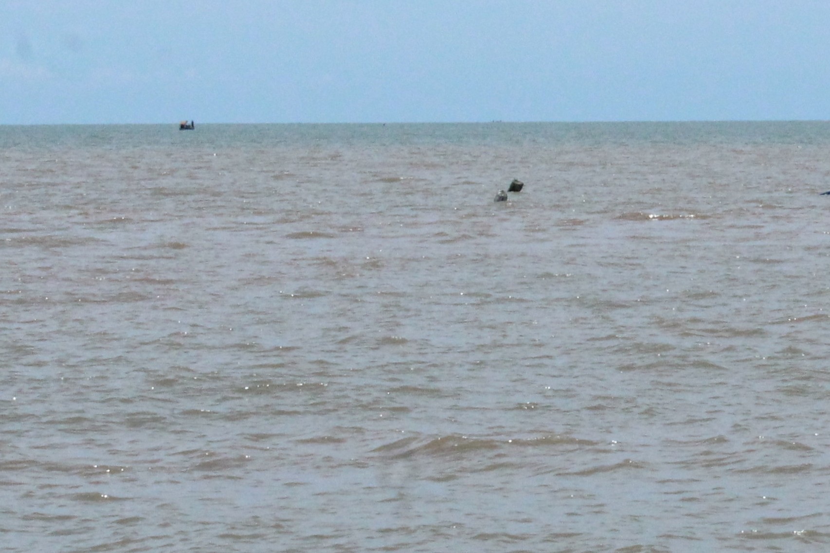 Phát hiện thi thể không vẹn nổi trên biển