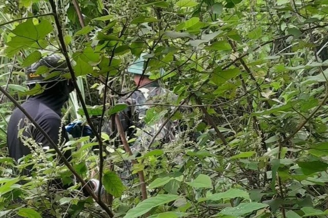 Tìm thấy thi thể người phụ nữ Ninh Bình mất tích khi vào núi bắt ốc