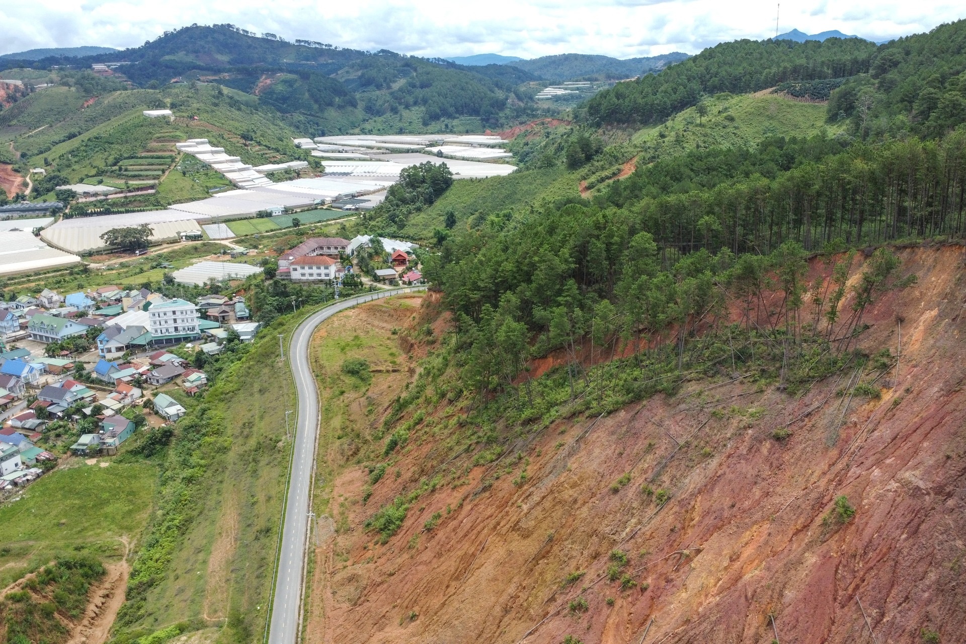 Cơ quan chức năng chỉ đạo xử lý vụ đồi thông sạt lở ở Đà Lạt