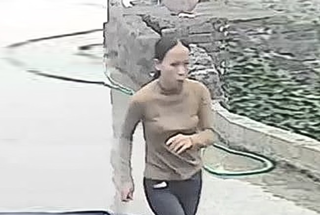 Tìm kiếm người phụ nữ Ninh Bình mất tích khi vào núi bắt ốc