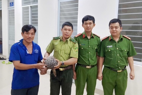 Người dân bàn giao tê tê quý hiếm cho công an ở Tây Ninh