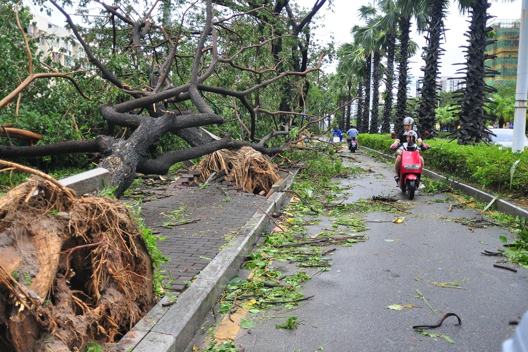 Kajiki có thể là bão mạnh nhất 40 năm đổ bộ thành phố của Trung Quốc
