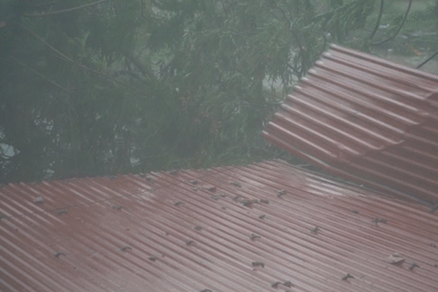 Bão Kajiki vào Nghệ An - Hà Tĩnh: Gió giật bay mái tôn, cây đổ hàng loạt