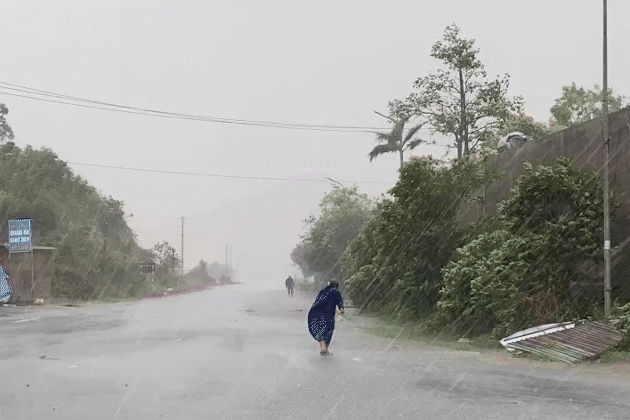 Bão Kajiki đổ bộ Nghệ An - Hà Tĩnh: Quật ngã cây xanh, bóc tôn mái nhà
