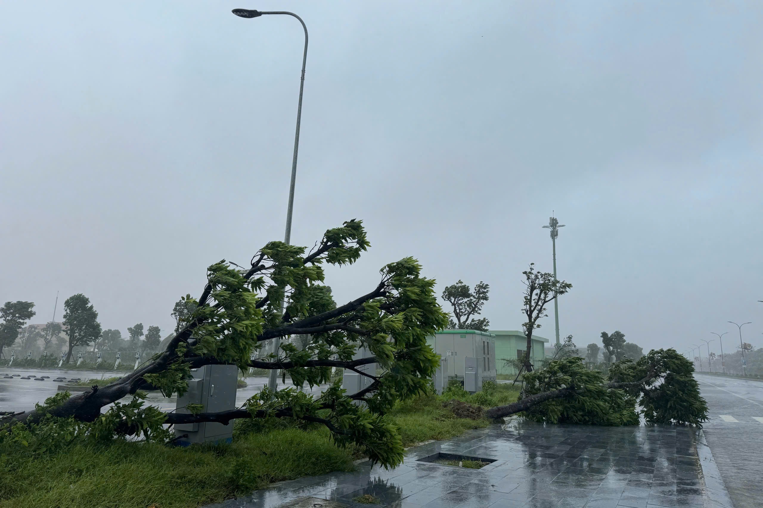 Bão Kajiki đổ bộ bờ biển Nghệ An - Hà Tĩnh: Mưa trắng trời, gió quật mạnh