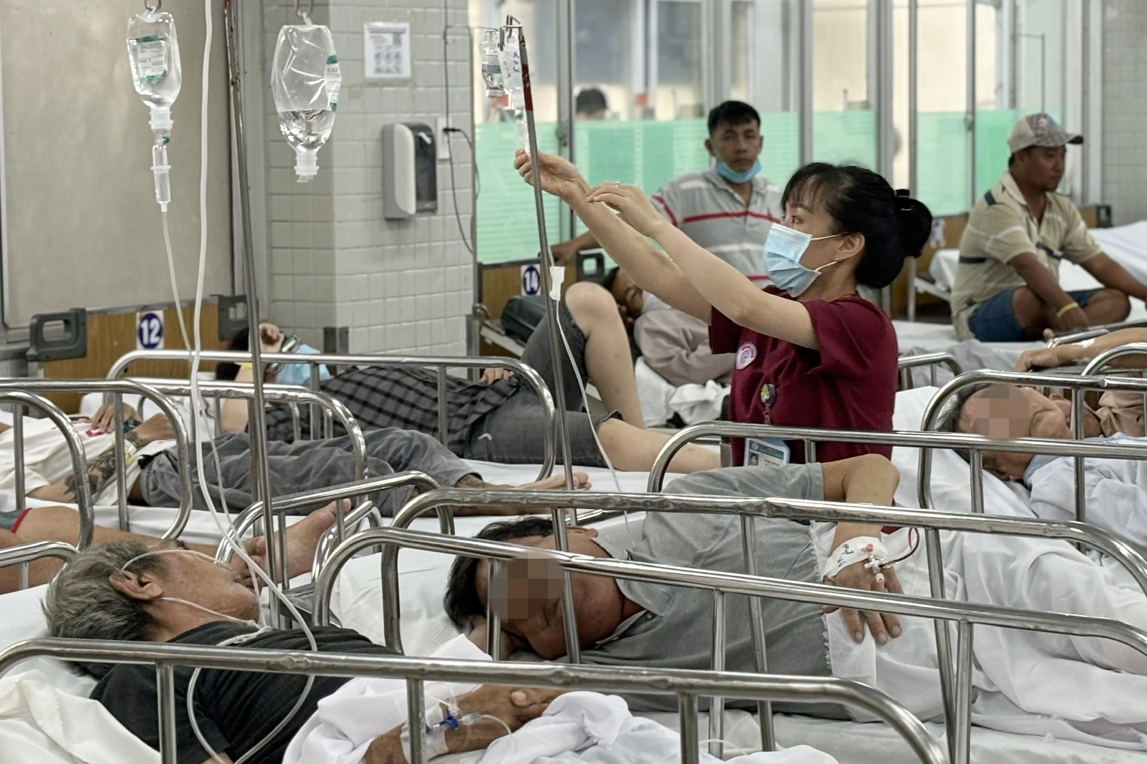 Nhiều ca cấp cứu do động vật có nọc độc tấn công trong kỳ nghỉ lễ