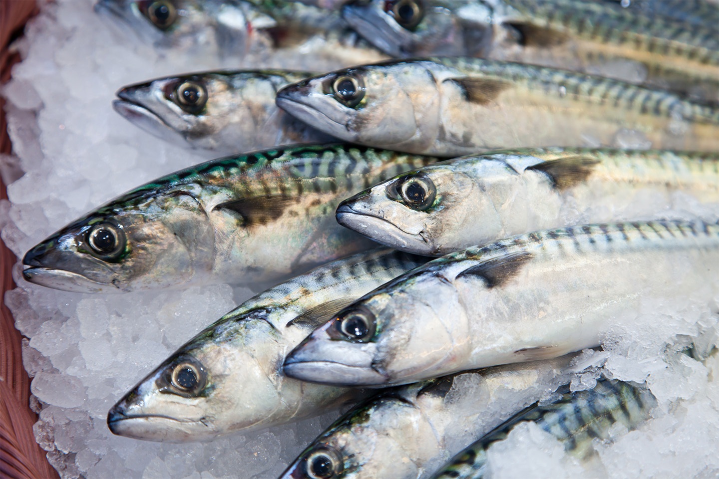 Loại cá rẻ bèo giàu omega-3 hơn cá hồi, nhiều người Việt ăn mỗi ngày