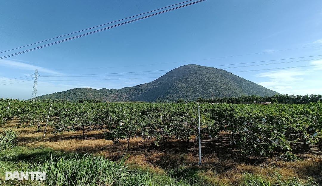 Tỉnh Tây Ninh