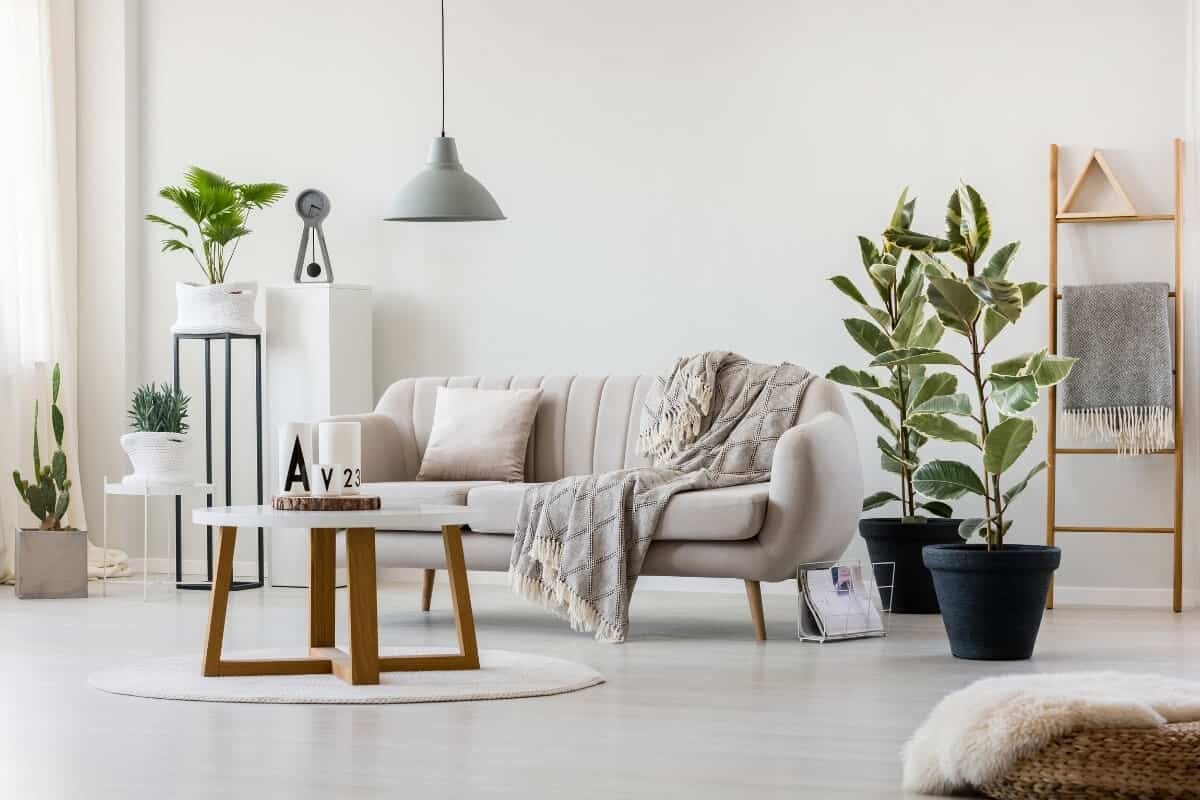 5 cách đơn giản giúp nhà bạn thơm tự nhiên