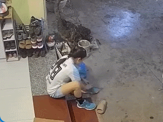 Clip “cô gái xỏ giày có rắn nấp bên trong” nổi bật tuần qua