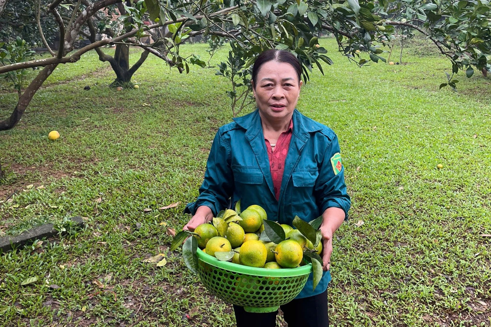 Nông dân có "thu nhập kép" nhờ cách làm sáng tạo