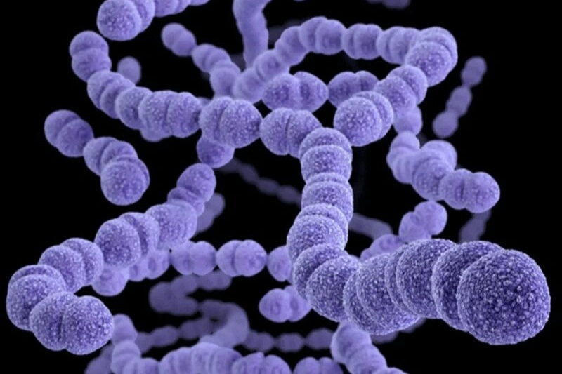 Loại vi khuẩn làm 1,6 triệu ca tử vong mỗi năm, trẻ nhỏ dễ tổn thương nhất