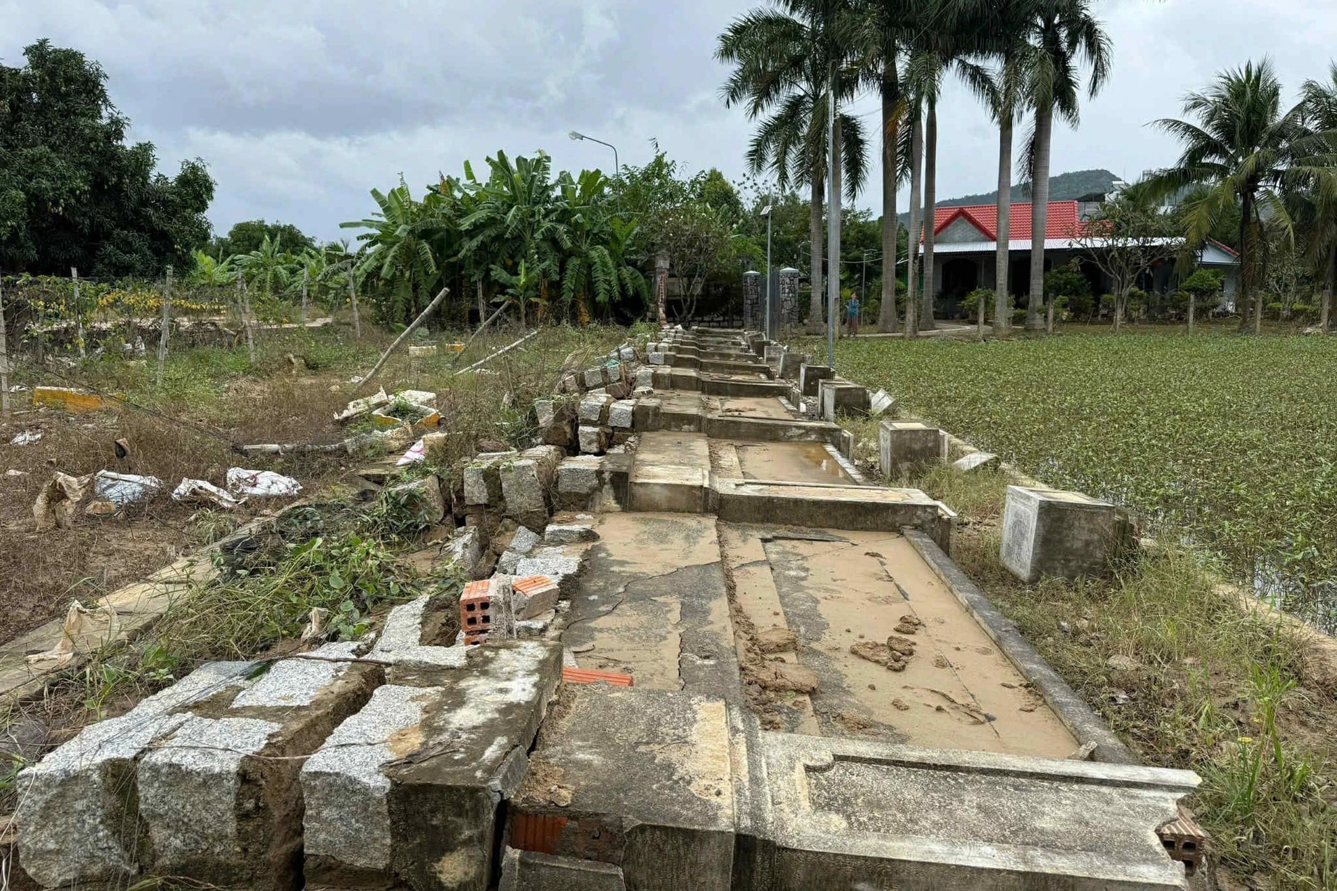 Bộ Văn hoá yêu cầu đánh giá mức độ hư hại của các di tích, bảo tàng