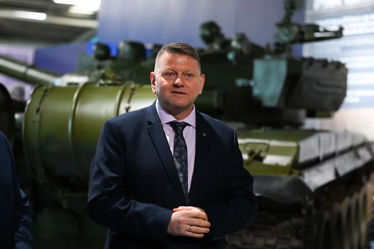 Cựu Tổng tư lệnh Ukraine nêu tầm nhìn đất nước thời hậu chiến