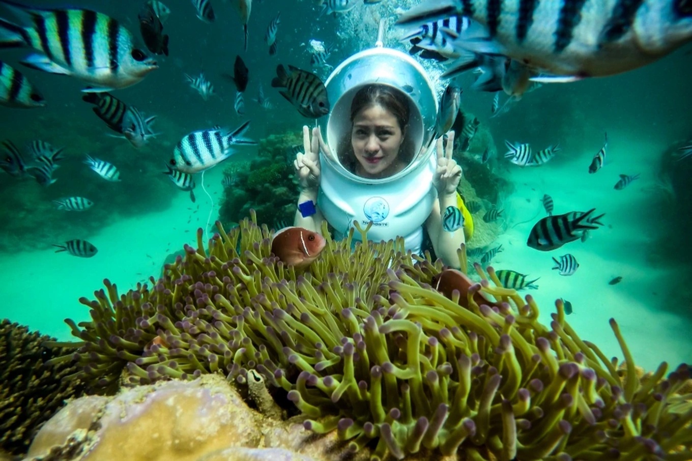 Công ty liên quan Thaiholdings làm dự án gần 1,3 tỷ USD ở Phú Quốc