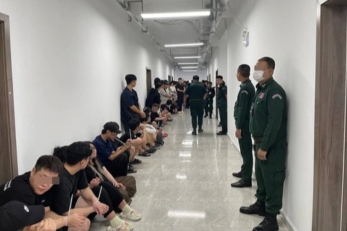 Hàn Quốc - Campuchia phối hợp đột kích trung tâm lừa đảo, bắt 51 nghi phạm