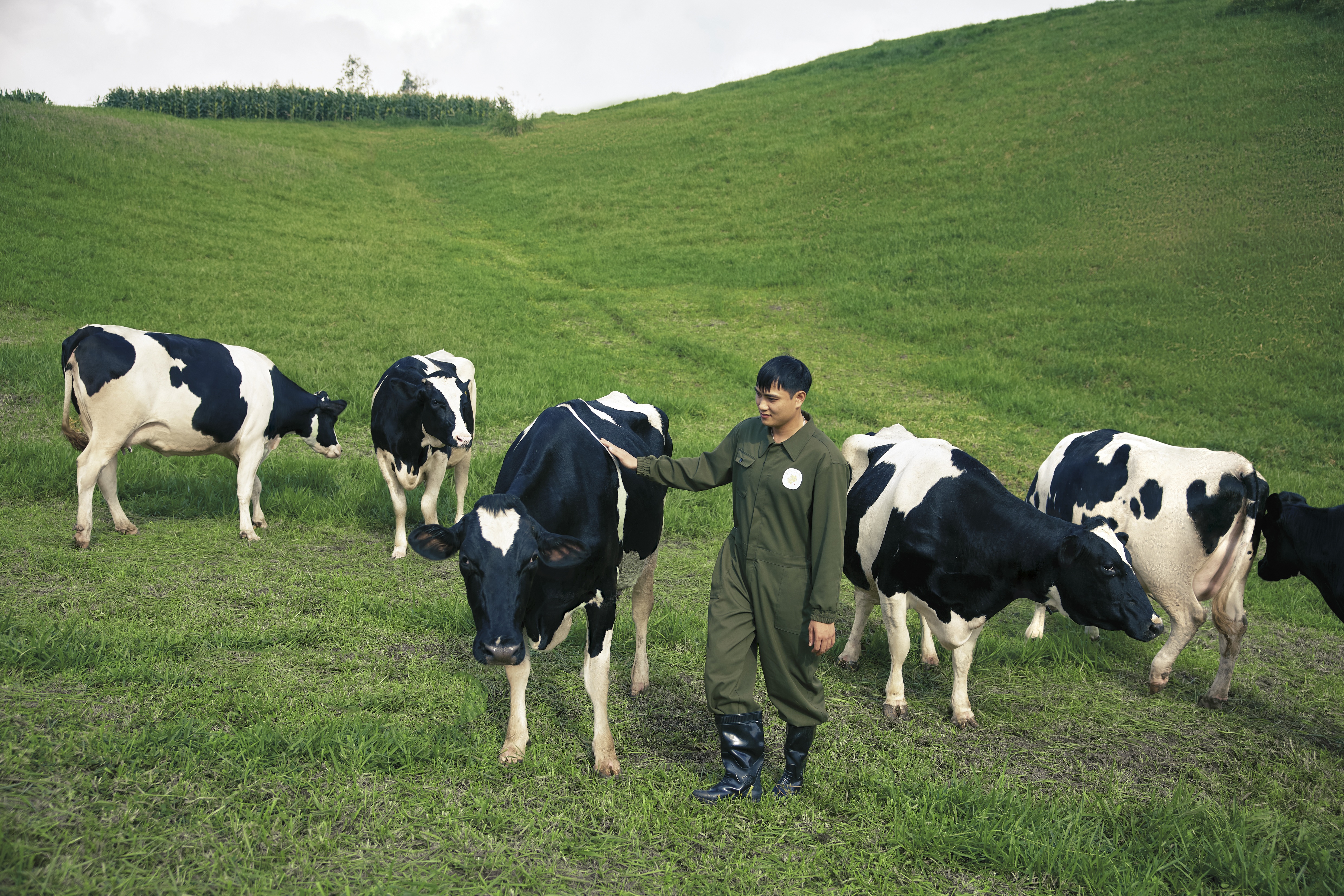 Mộc Châu Creamery: Kế thừa di sản để chuyển mình bền vững