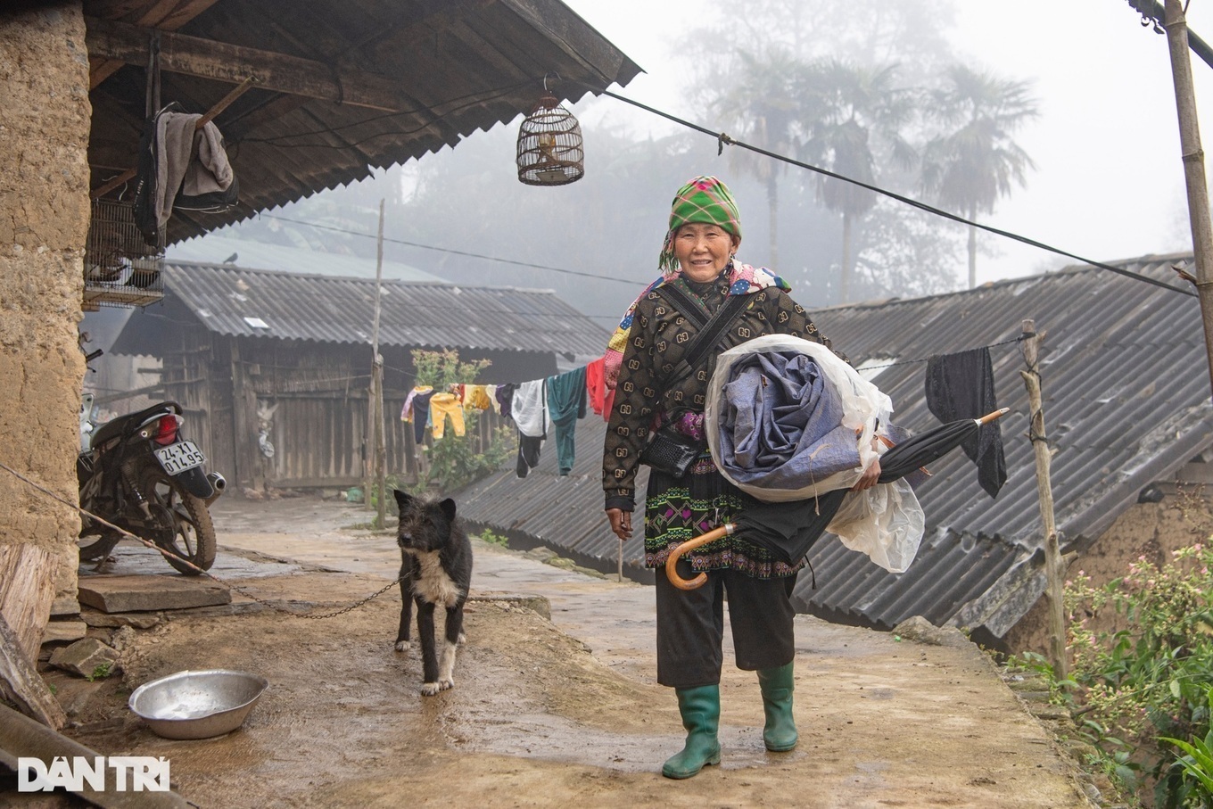 Miền Bắc trưa chiều hửng nắng, vùng núi cao đề phòng băng giá