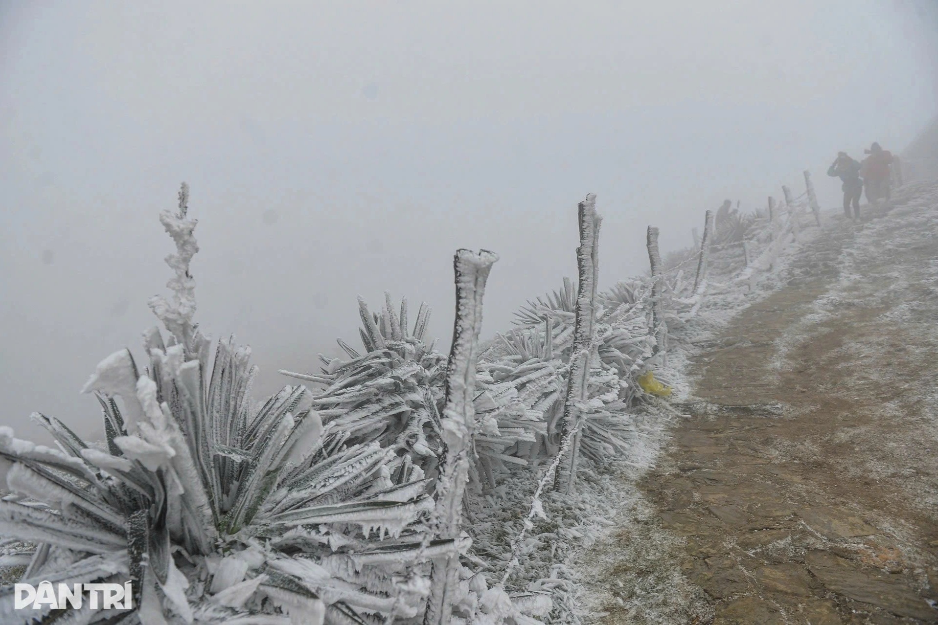 Vùng núi miền Bắc có thể đón băng giá và mưa tuyết