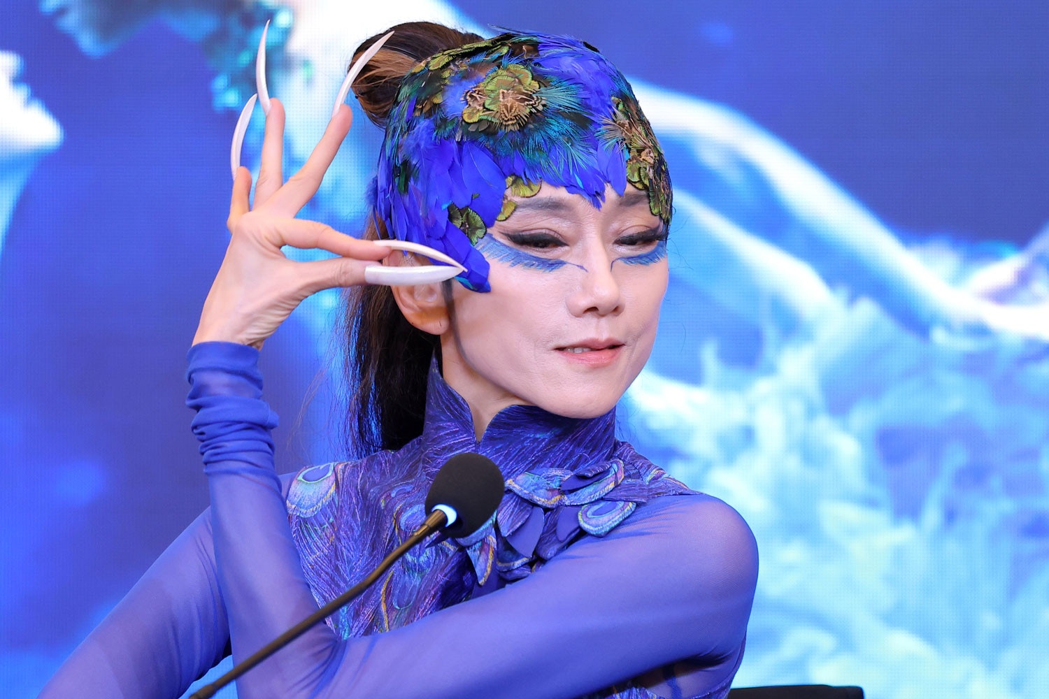 Nghệ sĩ Dương Lệ Bình diễn "Khổng tước" tại Việt Nam rồi giải nghệ?