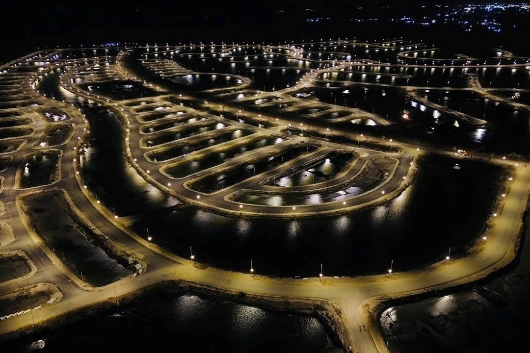 Bức tranh Vinhomes Green Paradise trong tương lai