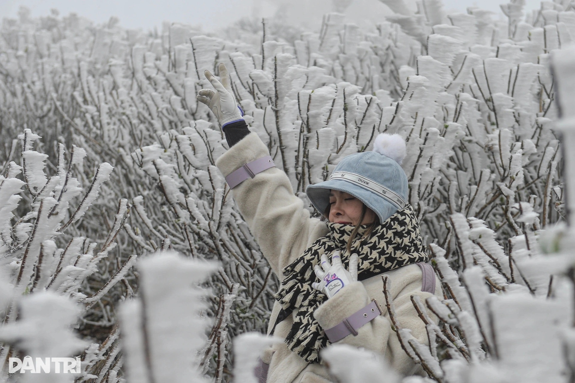 Sun Group sắp xây quần thể du lịch cáp treo hơn 7.300 tỷ trên đỉnh Mẫu Sơn