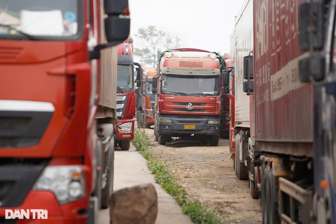 Hải quan đẩy nhanh thông quan thực phẩm sau khi tạm dừng Nghị định 46