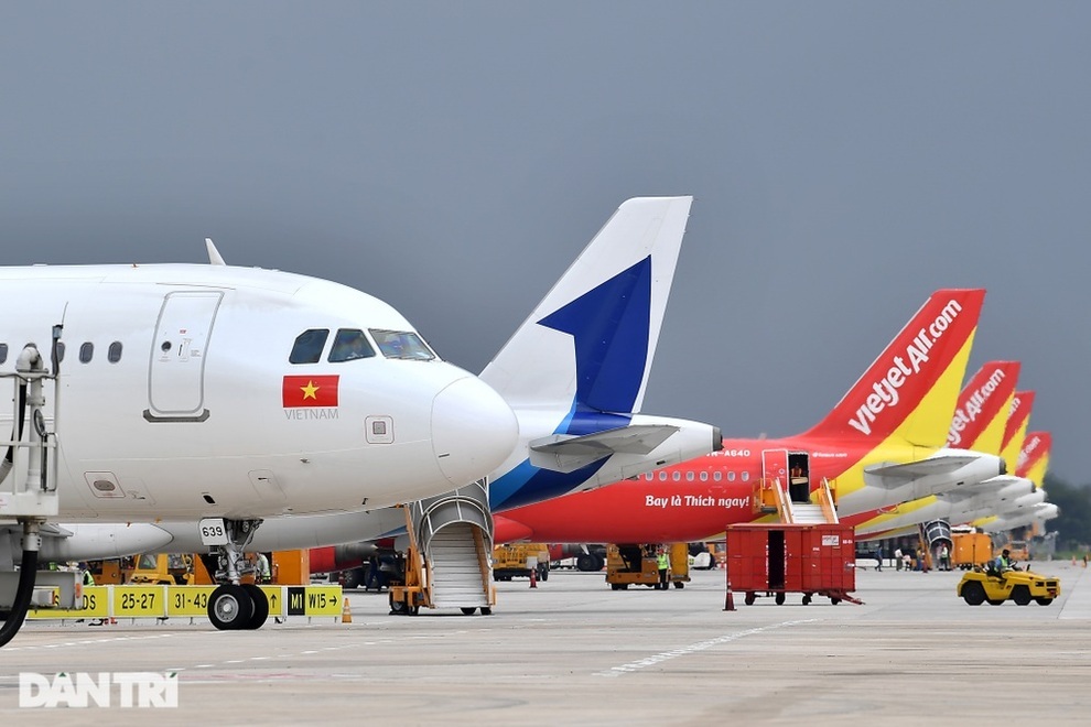 Nhiều đường bay hết vé, hàng không tăng chuyến, thuê thêm 19 máy bay