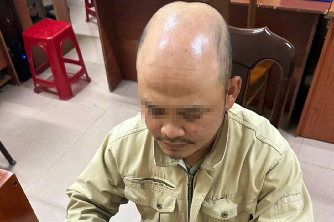 Công an mời người chặt cành hoa mai anh đào ở Đà Lạt lên làm việc