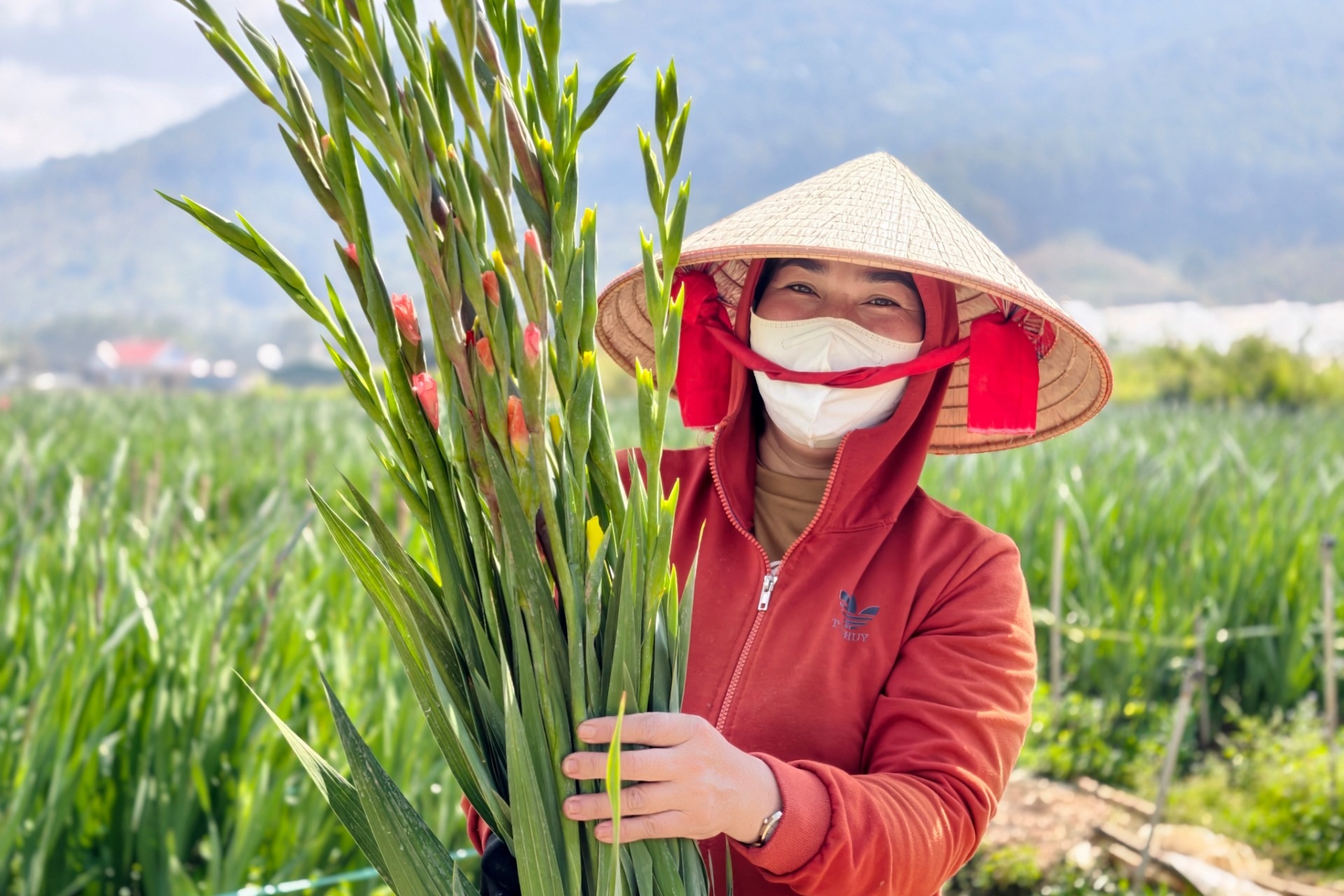 “Thủ phủ” hoa lay ơn Lâm Đồng rũ bùn sau lũ, nhận kết quả Tết bất ngờ