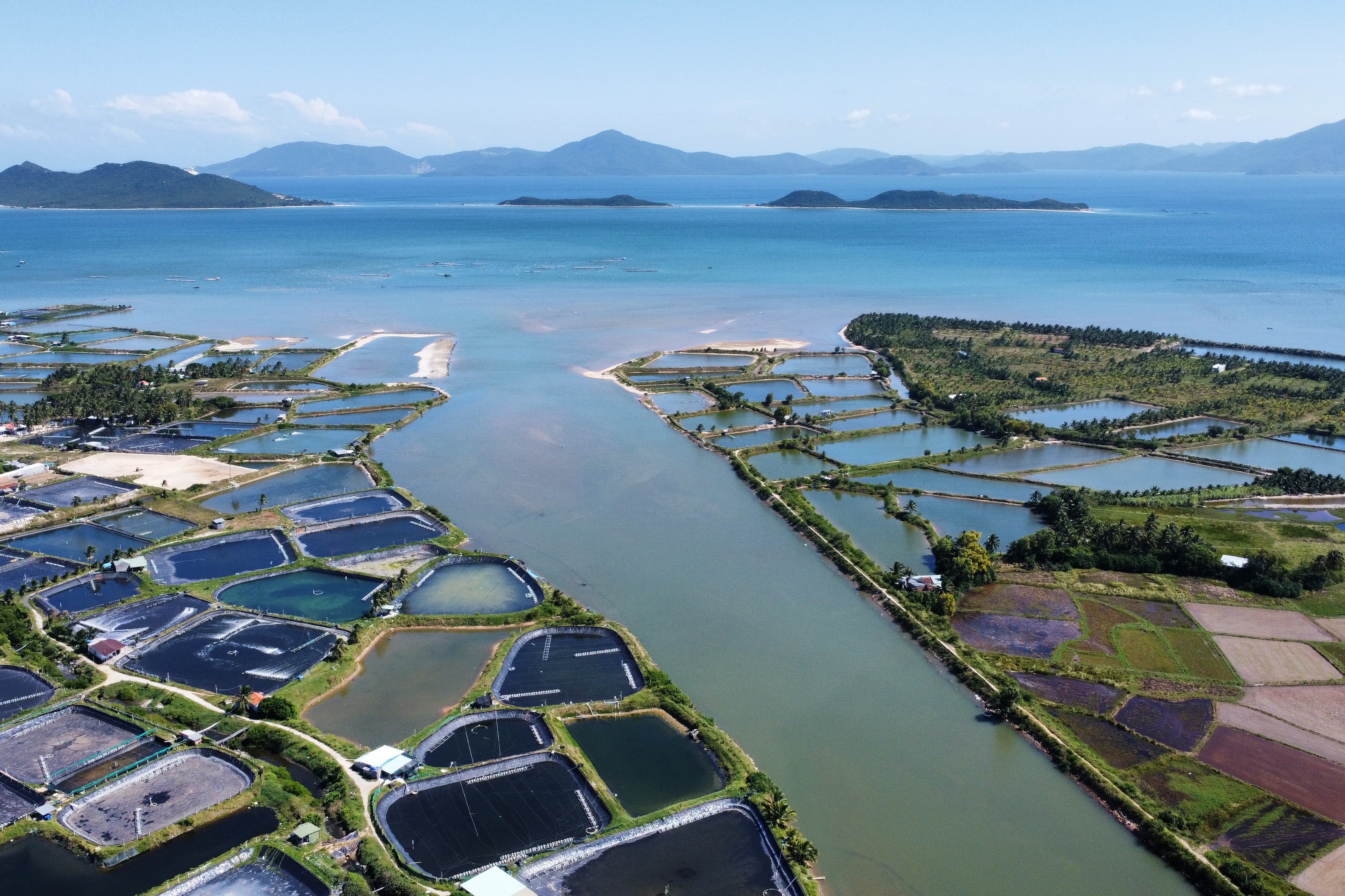 Thực hư thông tin xây cầu vượt biển qua vịnh Vân Phong