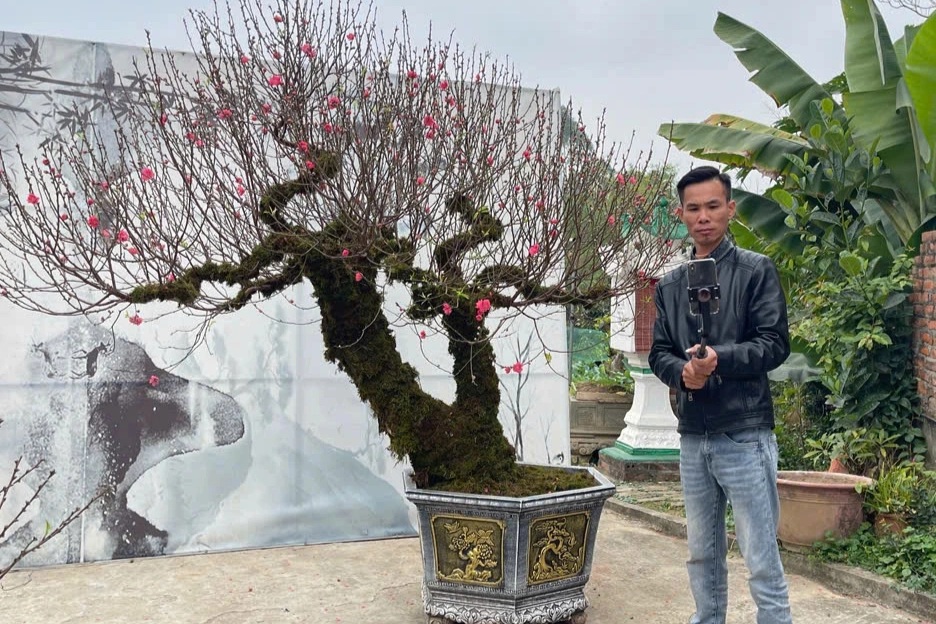 Giữa lúc đào Tết ế ẩm, nhiều tiểu thương lên sóng trực tiếp chốt đơn ầm ầm