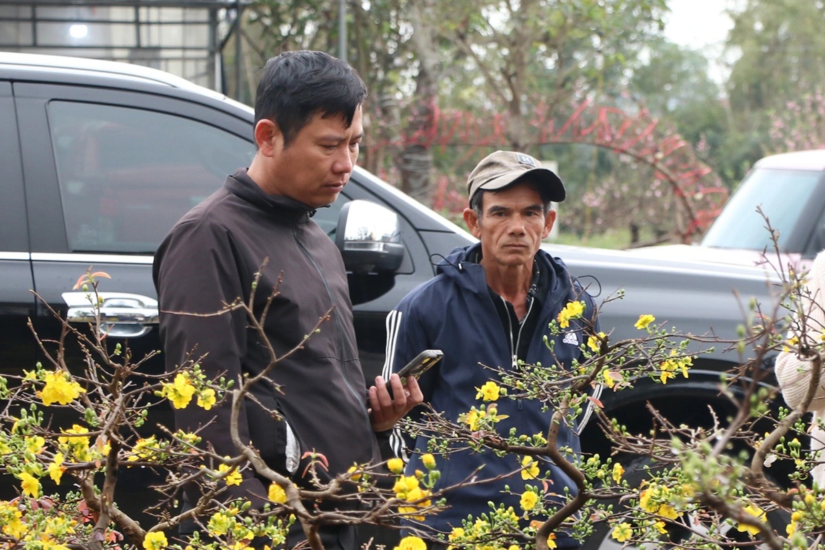 Đi gần 1.000km bán mai Tết, người dân rốn lũ Gia Lai nhận kết quả bất ngờ