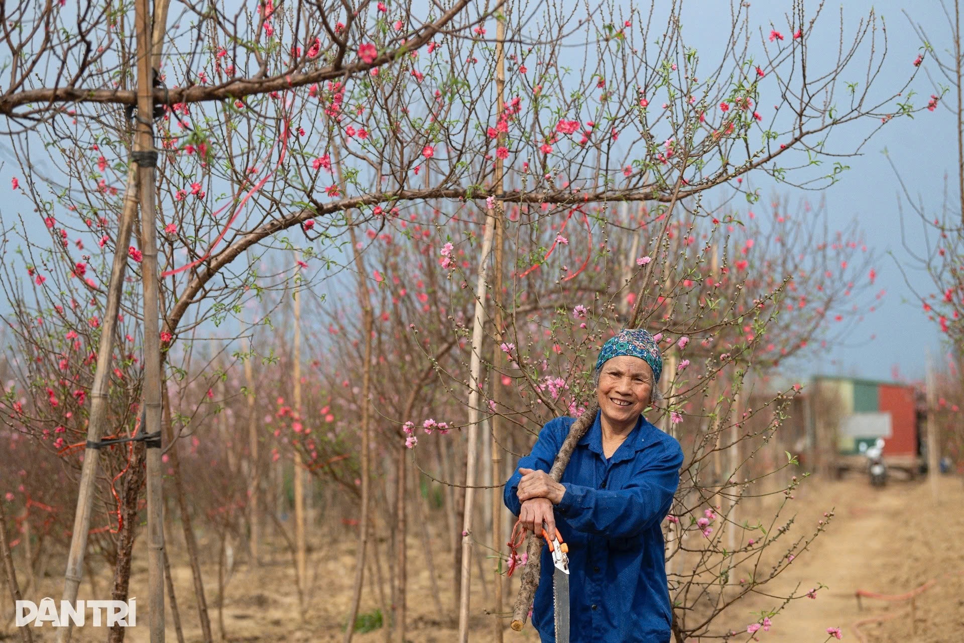 Dự báo mới nhất diễn biến thời tiết dịp Tết Nguyên đán