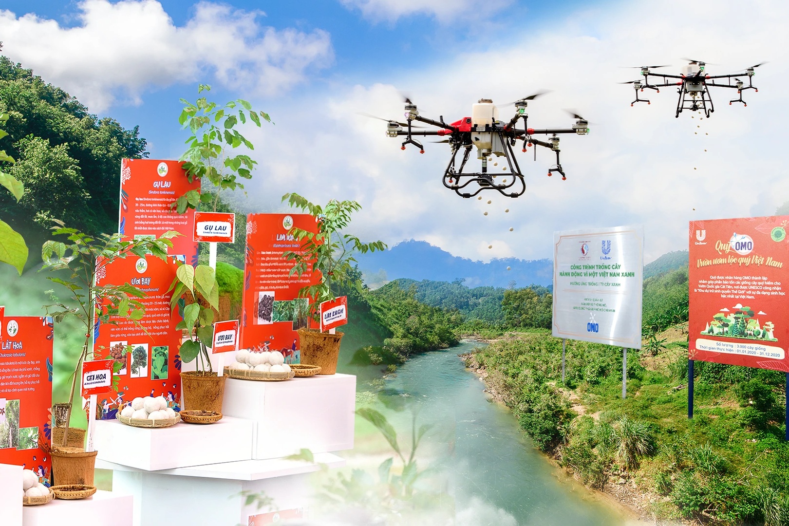 OMO viết tiếp hành trình 5 năm với 1 triệu cây, kiên trì vì một Việt Nam xanh