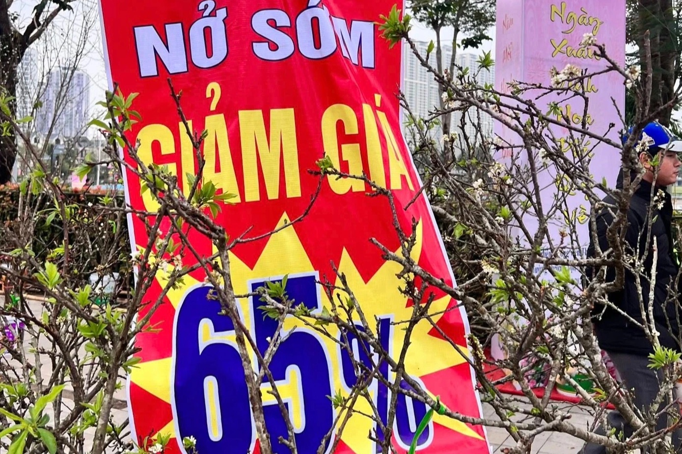 Người bán đào, mai ở Hà Nội treo biển xả hàng, giảm sâu 65% dù mới 25 Tết