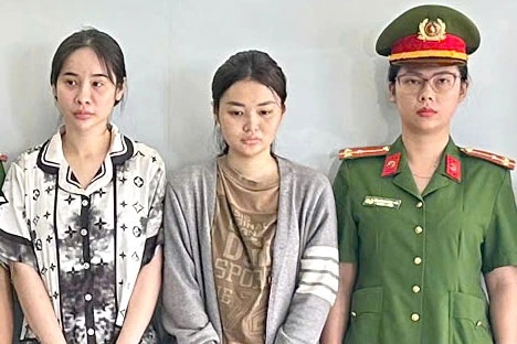 Ngụy trang ma túy trong hộp thức ăn thú cưng để giao dịch liên tỉnh, TPHCM