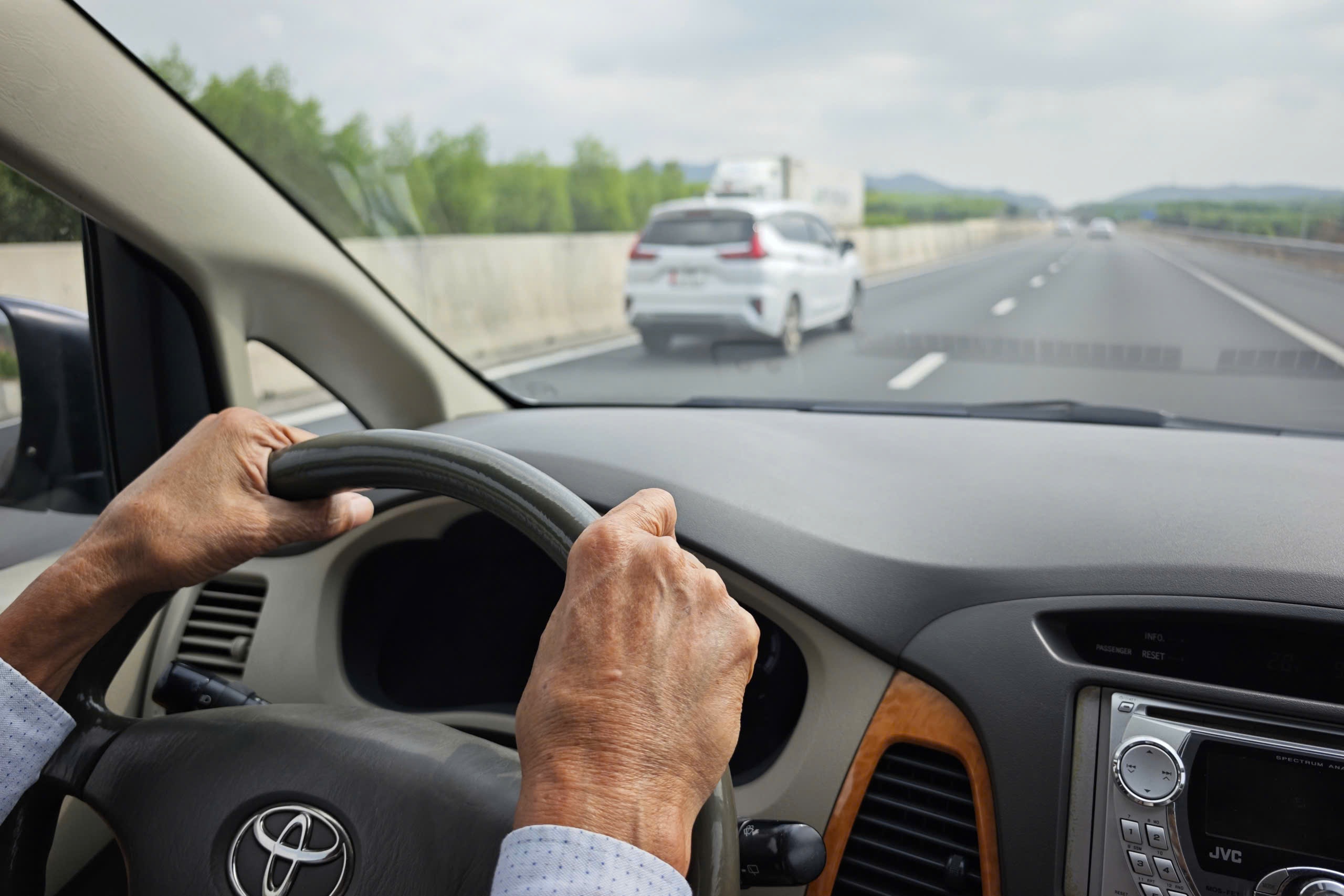 Chó chạy ngang và loạt lưu ý khi đi cao tốc TPHCM - Nha Trang về quê ăn Tết