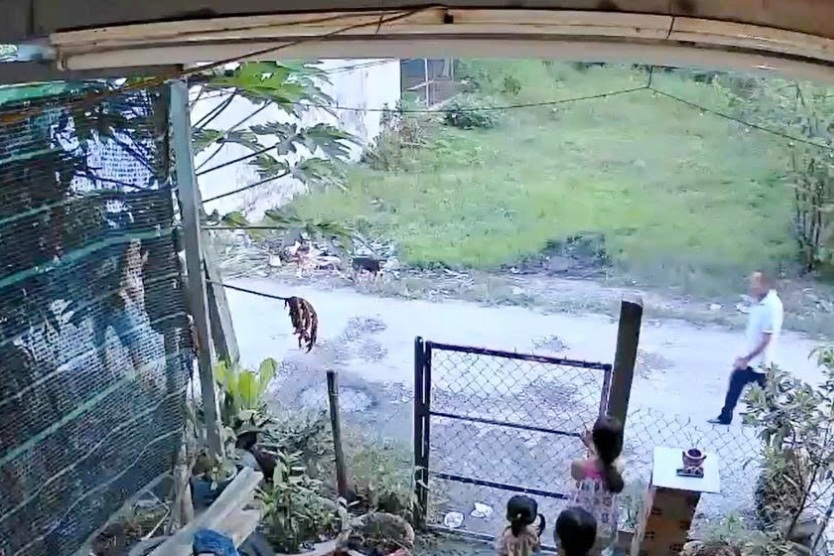 Đề nghị truy tố người đàn ông chém cháu ruột trọng thương ở Tây Ninh