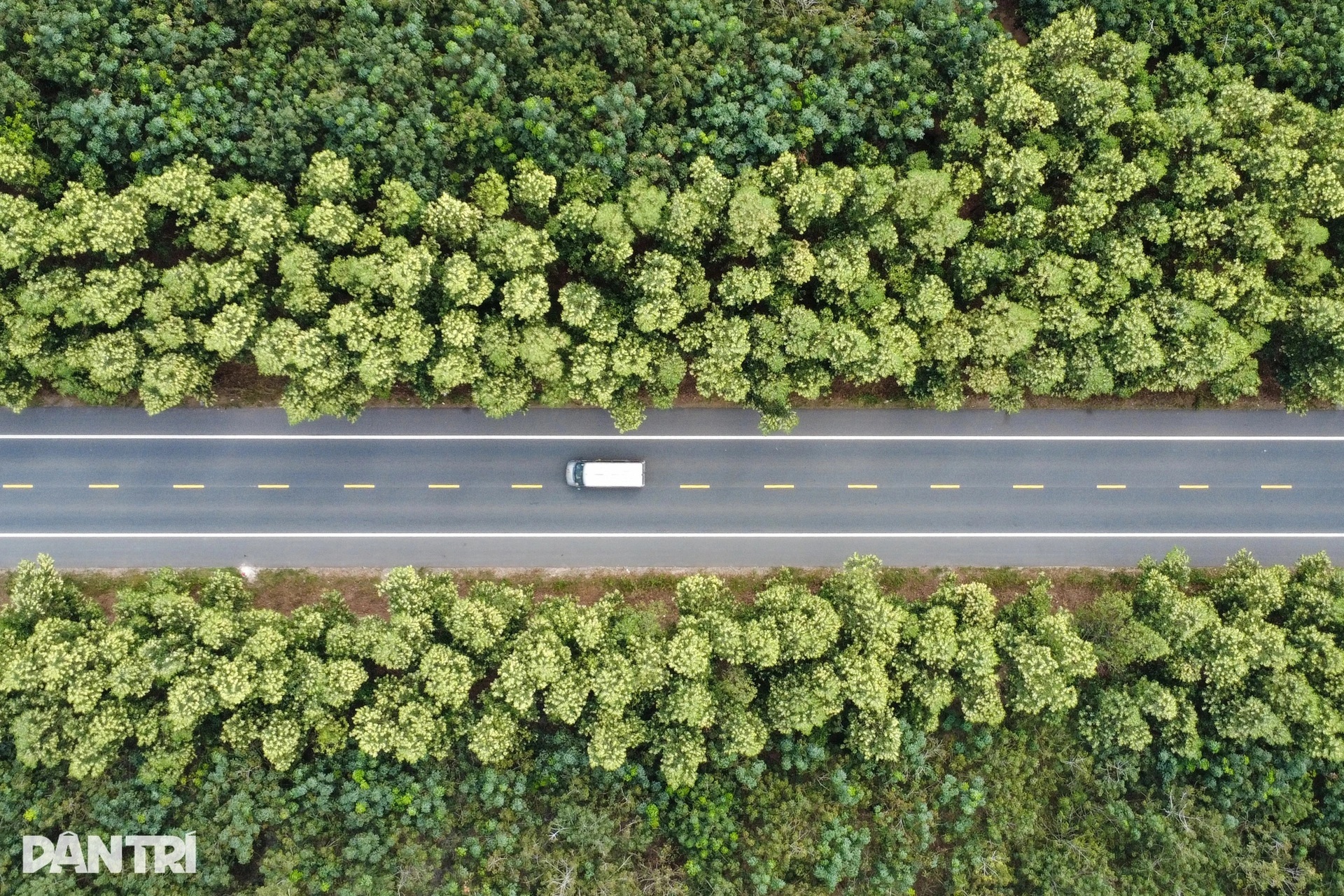 Nâng cấp đường Hồ Chí Minh đoạn Chơn Thành - Đức Hòa đạt chuẩn cao tốc