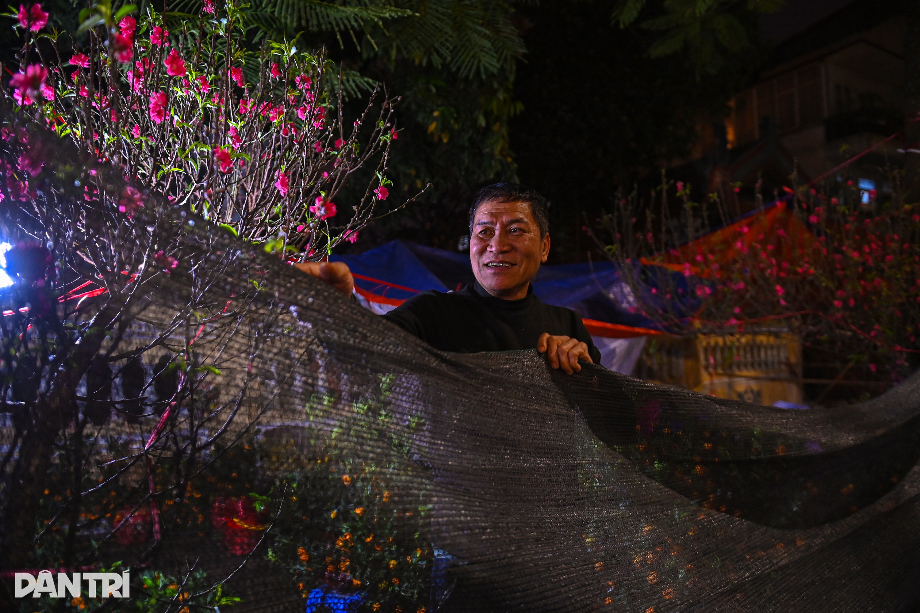 Tiểu thương dựng lều, căng bạt, thức trắng đêm canh hoa Tết trên phố Hà Nội