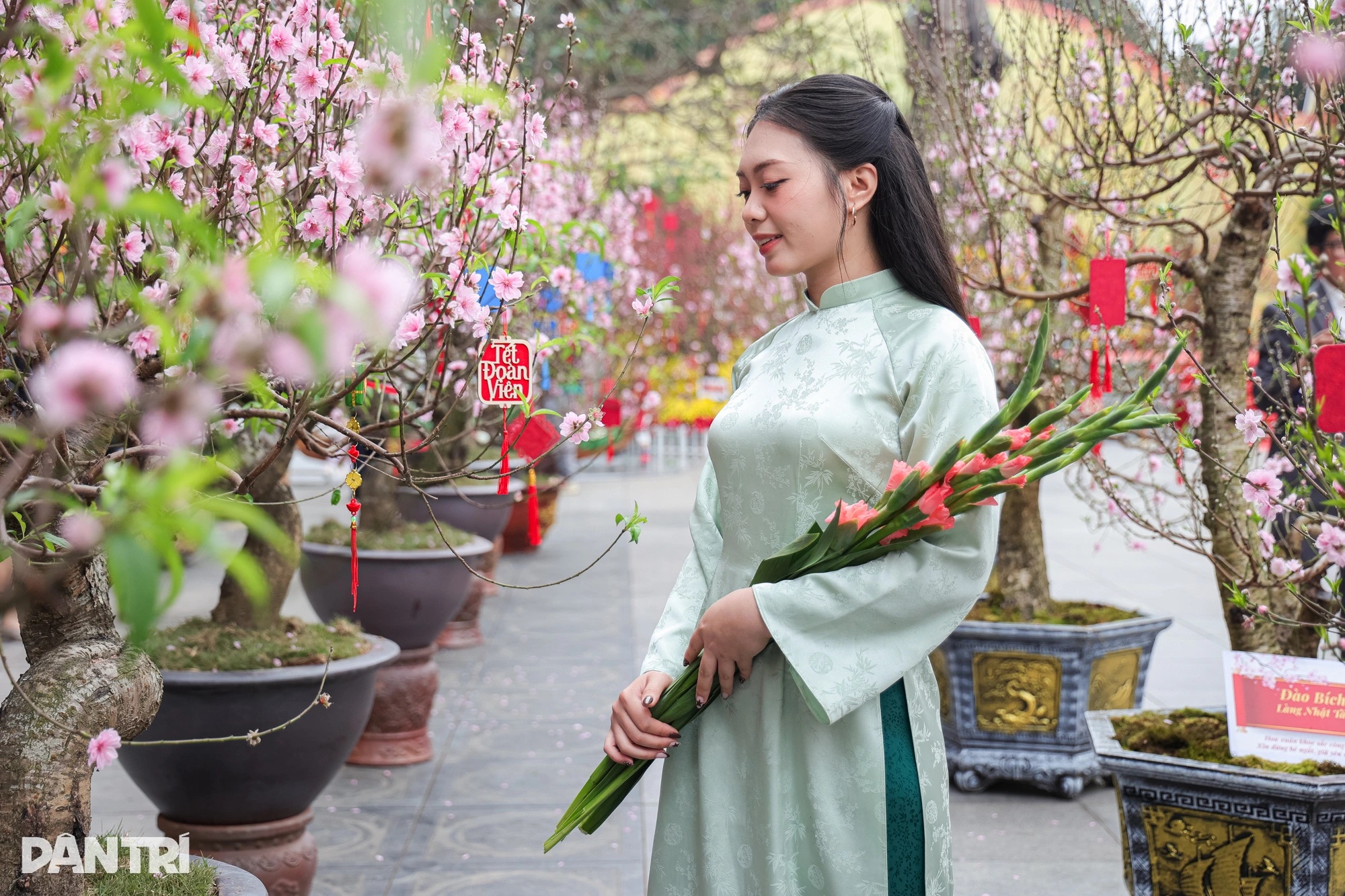 Du khách choáng ngợp không gian xuân Hà Nội