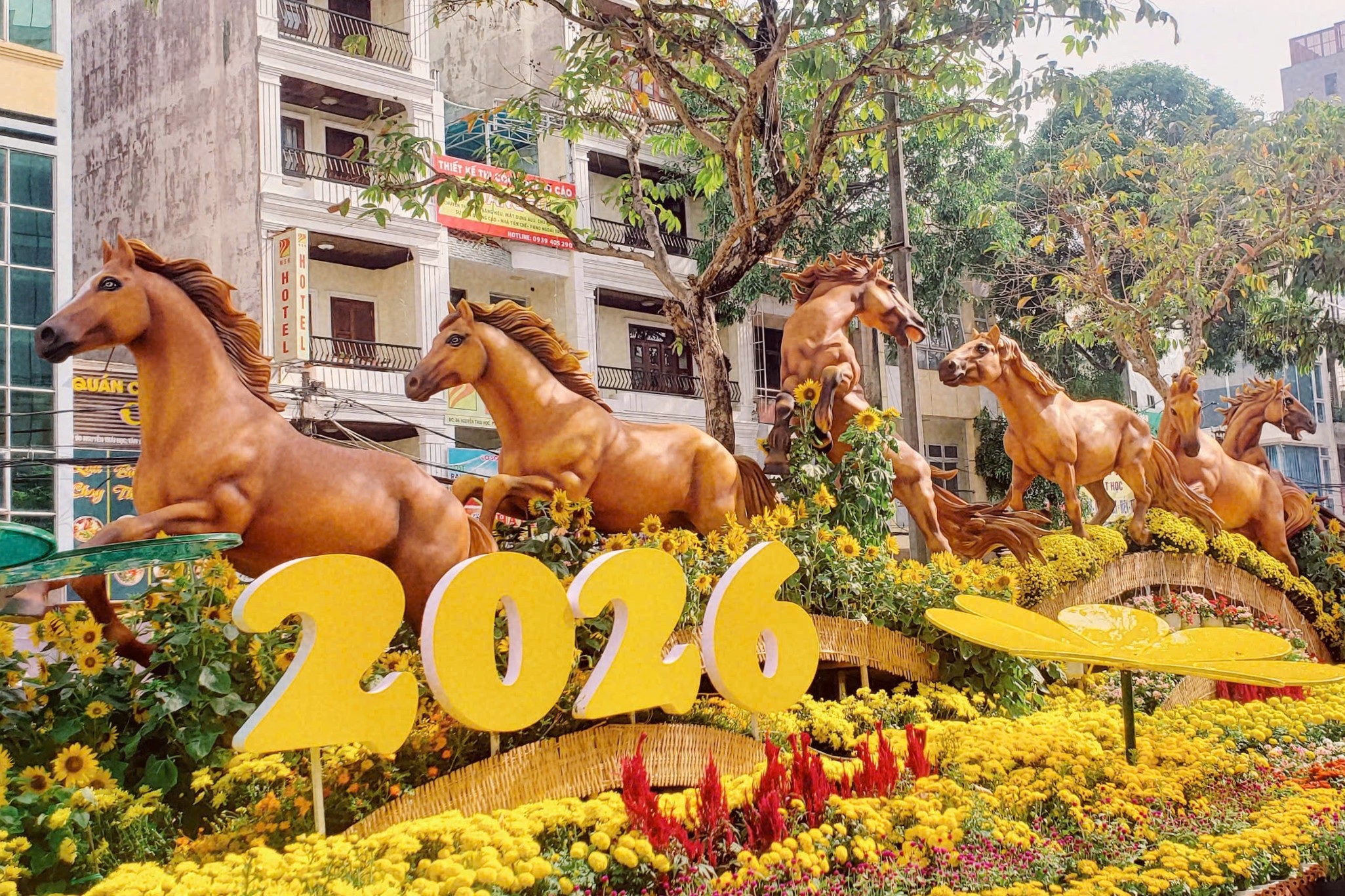 Đường hoa nghệ thuật Cần Thơ rực rỡ trước giờ khai mạc