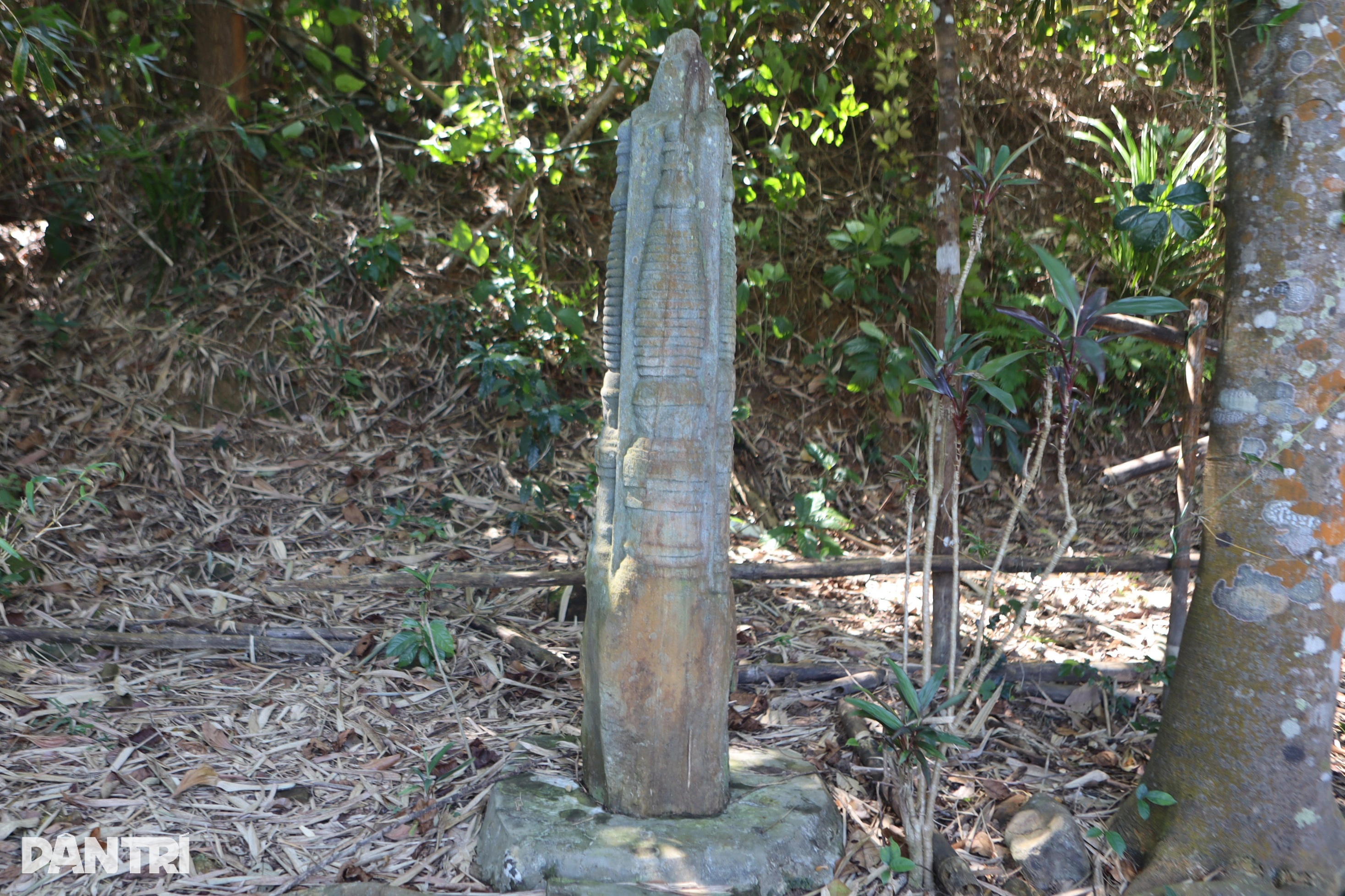 Bí ẩn chưa được giải mã về cột đá thiêng giữa rừng sâu