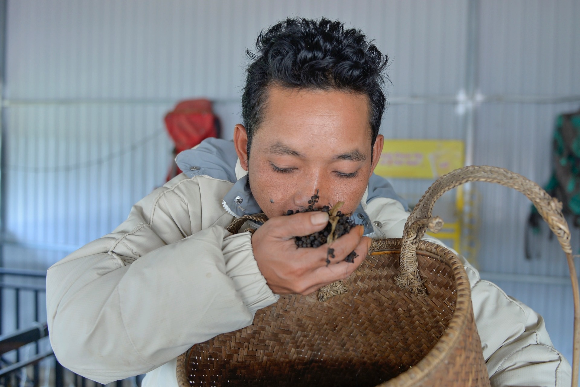 Chàng trai K’ho biến quả cây hoang dại vùng núi Langbiang thành đặc sản